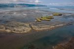 Douglas River Tidal Flats, Kamishak Bay