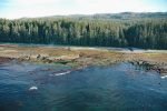 Michigan Creek, Pacific Rim National Park Reserve