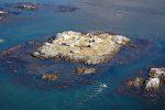 Race Rocks, Strait of Juan de Fuca