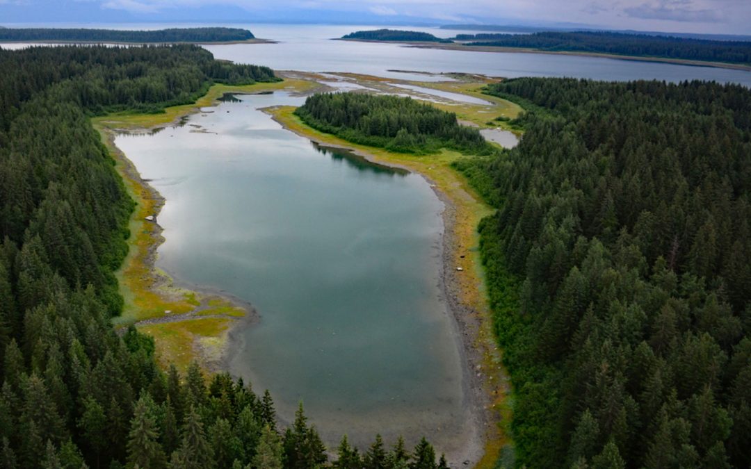 Berg Bay, Glacier Bay National Park and Preserve