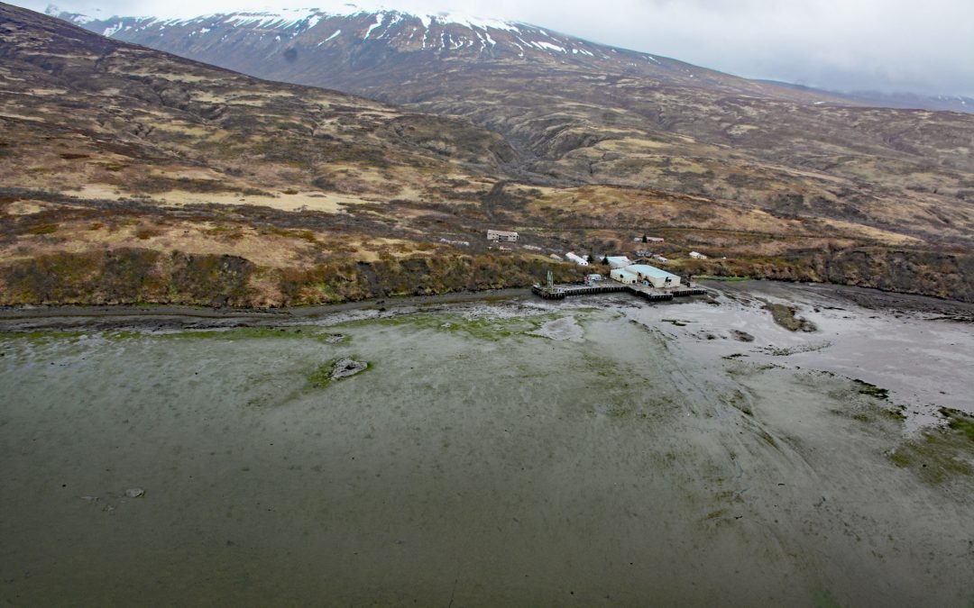 Chignik Fisheries, Chignik Lagoon