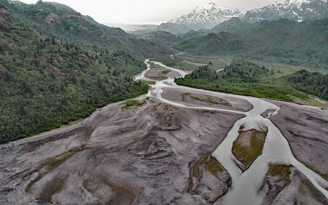 Princeton Glacier, Nassau Fjord