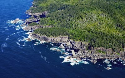 Fuca Pillar, Cape Flattery