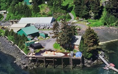 Kitoi Bay Hatchery, Afognak Island