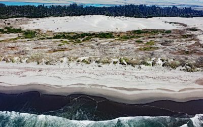 Lanphere Dunes, Arcata Bottoms