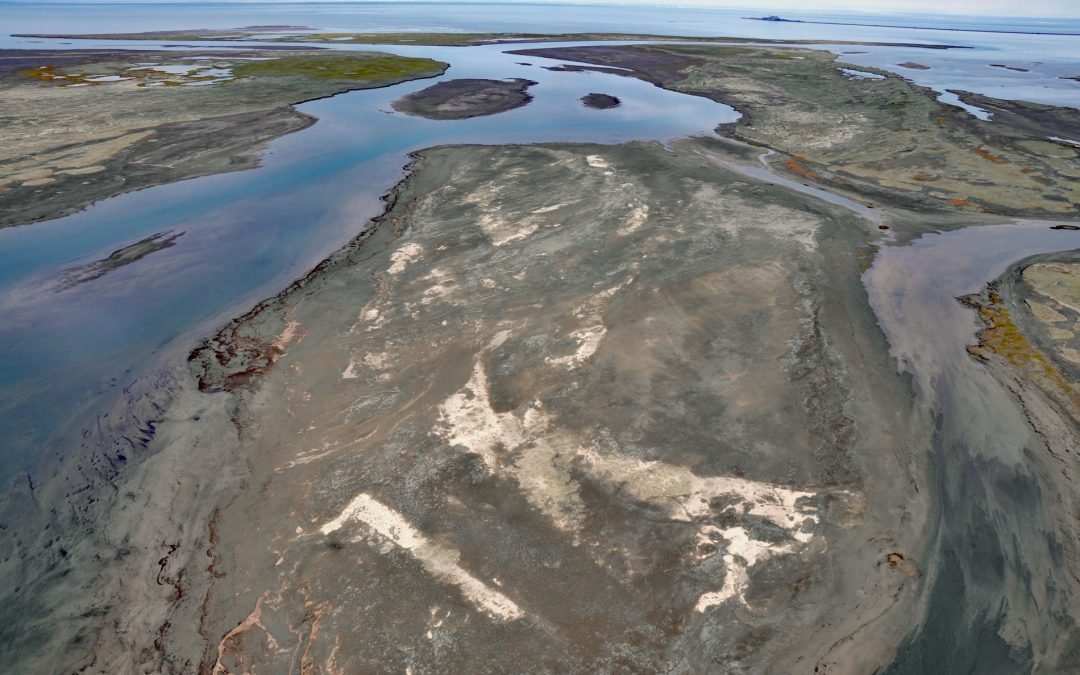 Sagavanirktok River, Beaufort Sea