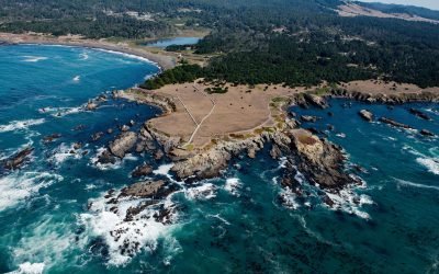 Seal Rocks, Laguna Point