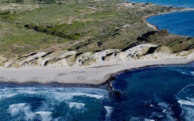 Año Nuevo Dunes, Año Nuevo State Park