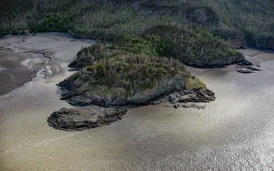 Gull Rock, Turnagain Arm