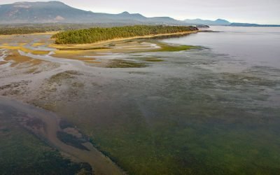 Willy Island, Halalt Island Indian Reserve