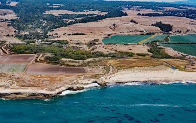 Wilder Ranch State Park, Natural Bridges State Marine Reserve