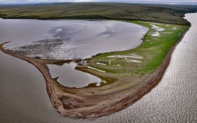Elephant Point, Eschscholtz Bay