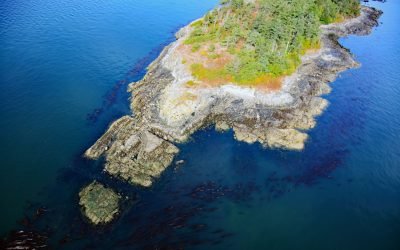 Halibut Island, Haro Strait