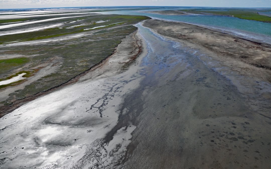 Kupigruak Channel, Colville River Delta