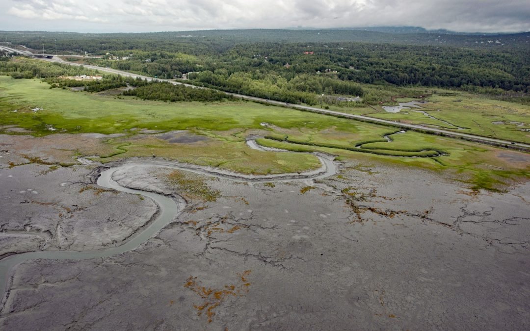 Rabbit Creek, Potter Marsh