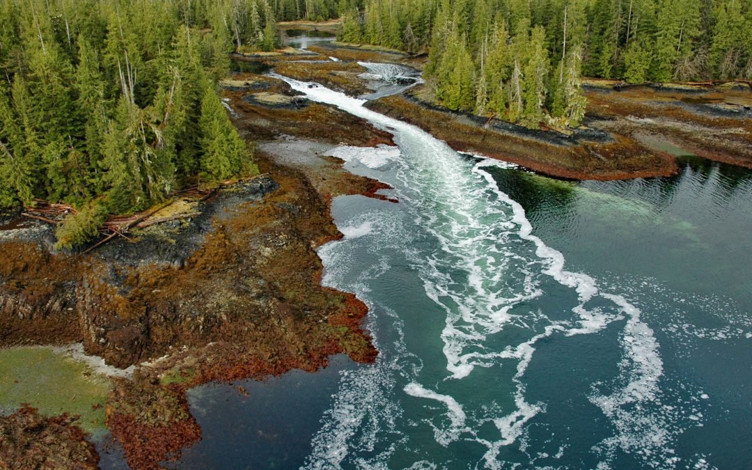 Skookumchuck, Brownson Island