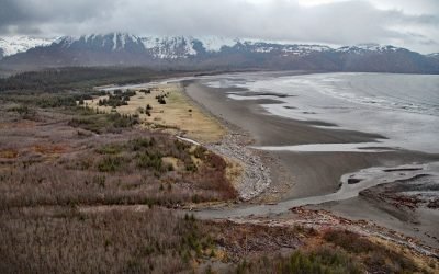 Patton Bay, Montague Island