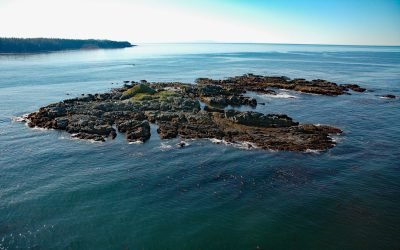 Seabird Rocks, Pacific Rim National Park Reserve