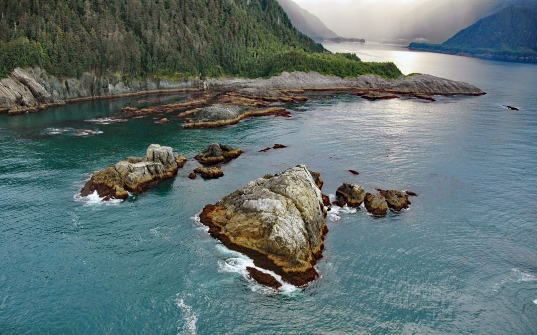 Torch Bay, Glacier Bay National Park and Preserve