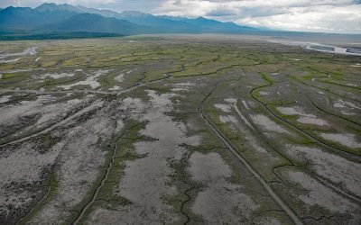 Chickaloon Bay, Turnagain Arm