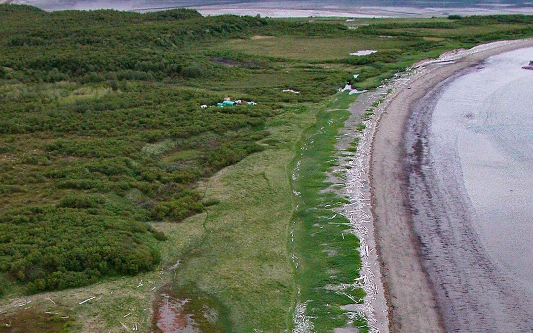 Douglas, Katmai National Park and Preserve