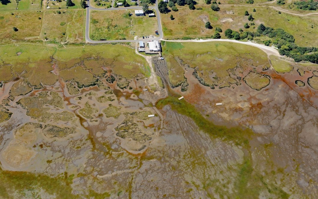 Oysterville, Willapa Bay