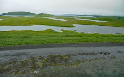 Kaguyak Village, Kodiak Island