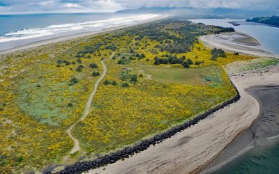 Nehalem Spit, Nehalem Bay State Park