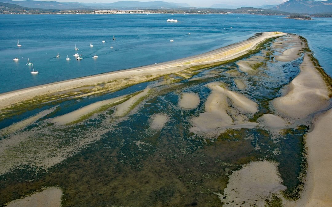 Sidney Spit, Sidney Island