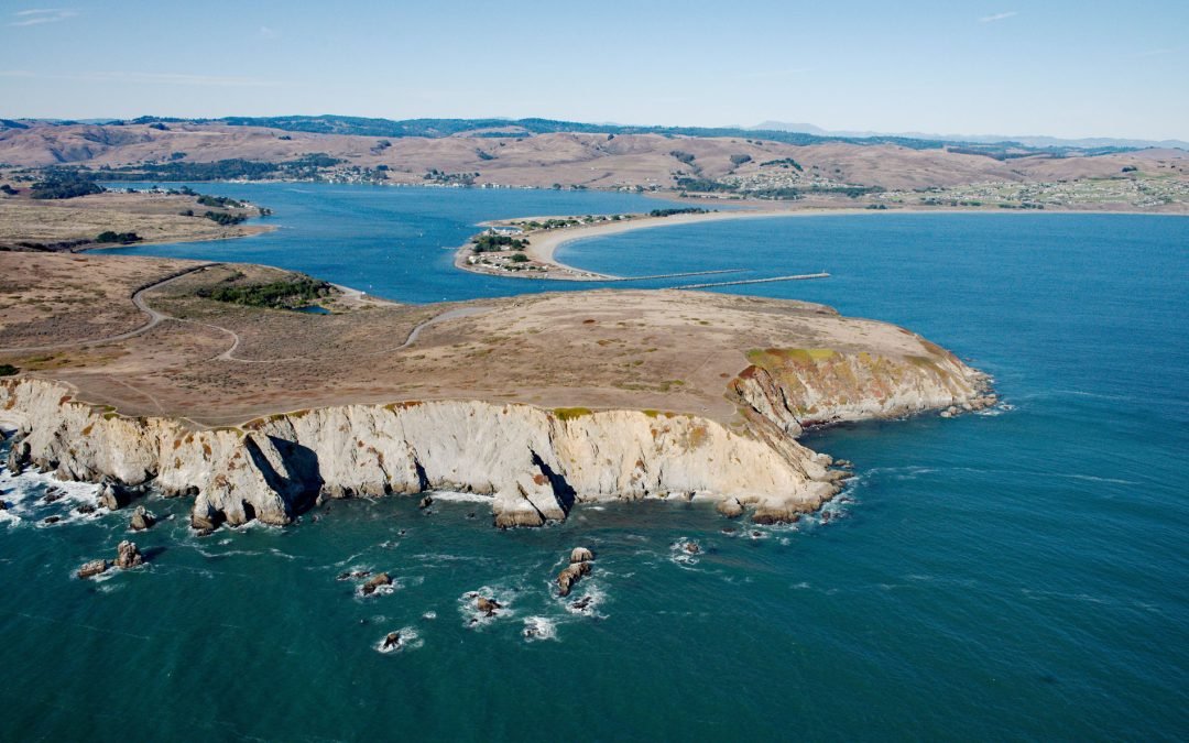 Bodega Head, Bodega Bay