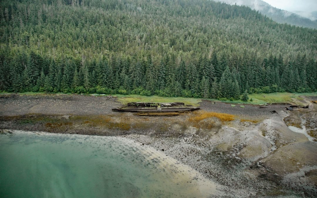 SS Islander, Green Cove