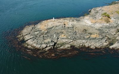 Fairfax Point, Moresby Island