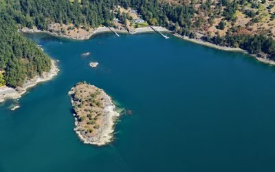 Skull Island, Massacre Bay