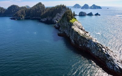 Chiswell Islands, Kenai Fjords