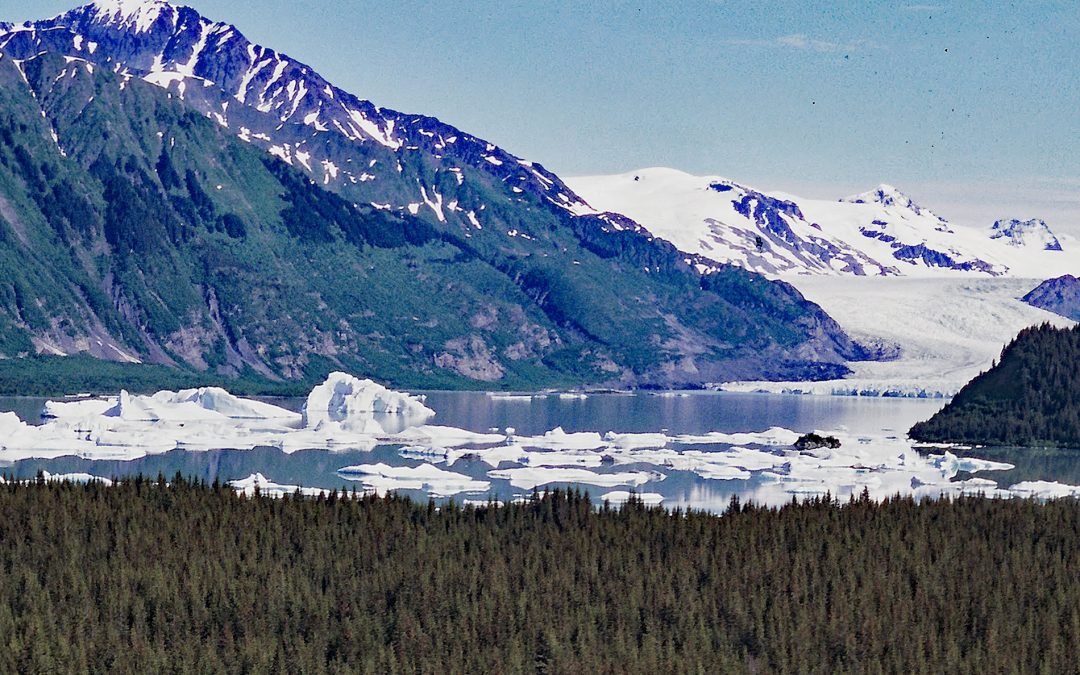 Excelsior Glacier, Johnstone Bay