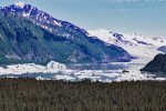 Excelsior Glacier, Johnstone Bay