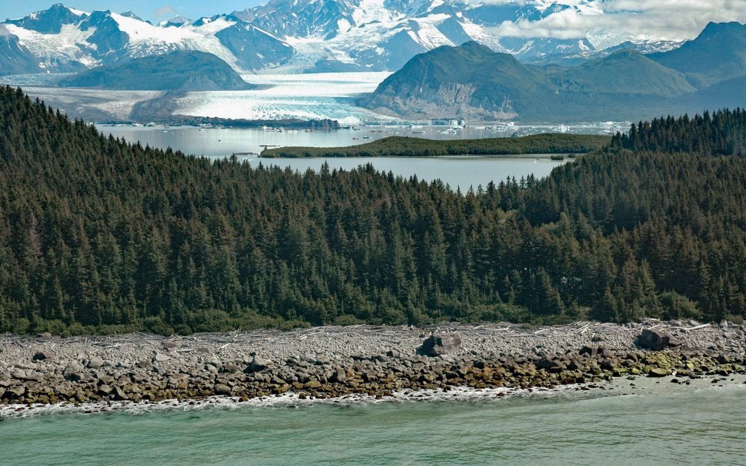 Grand Plateau Glacier, Fairweather Range