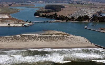 Elkhorn Slough, Moss Landing