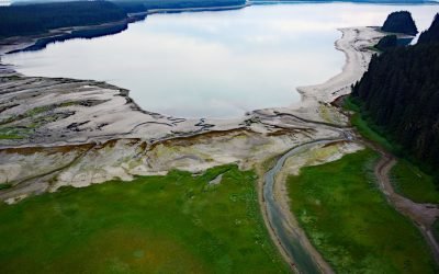 Beartrack Cove, Glacier Bay National Park and Preserve