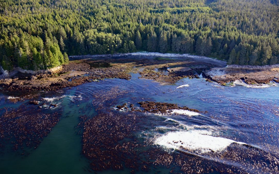 Botanical Beach, Juan de Fuca Provincial Park