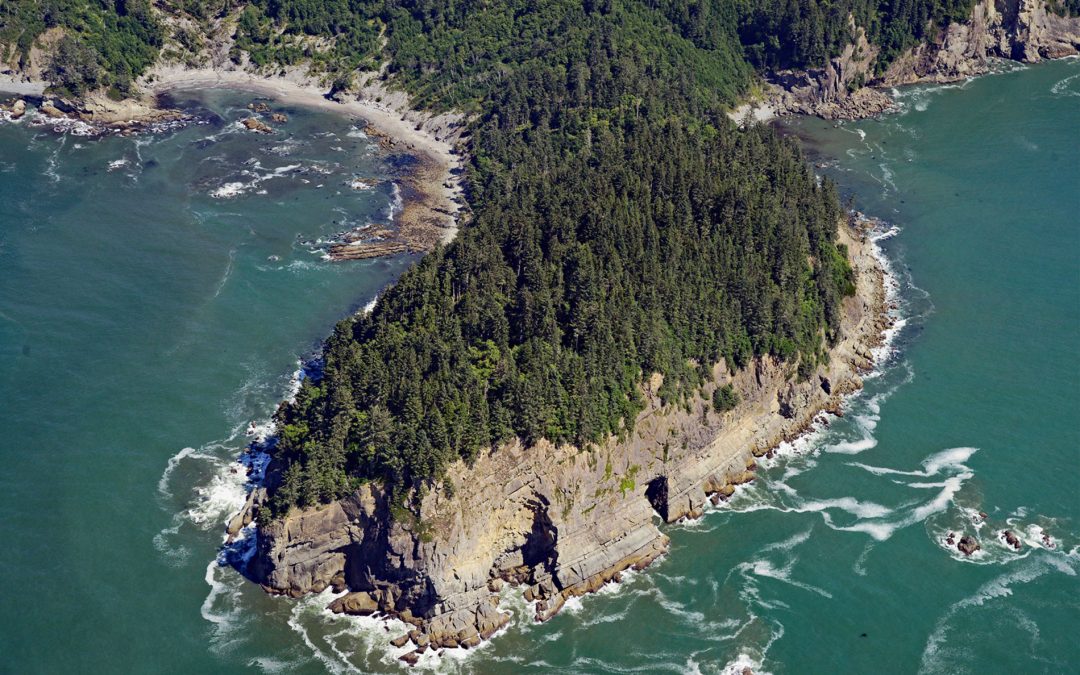 Hoh Head, Olympic National Park