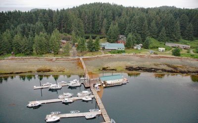 Whalers Cove, Killisnoo Island