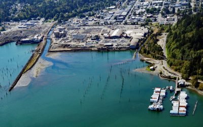 Shelton, Hammersley Inlet