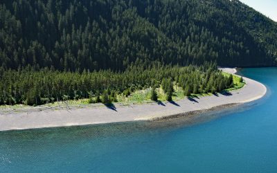 Verdant Cove, Kenai Fjords National Park