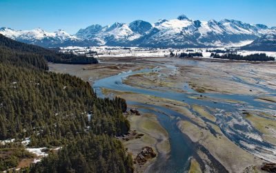 Coghill River, Dartmouth Glacier