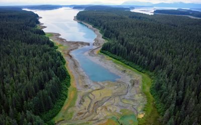 Hutchins Bay, Beardslee Islands