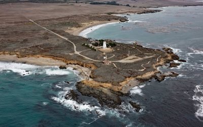 Point Piedras Blancas, San Simeon