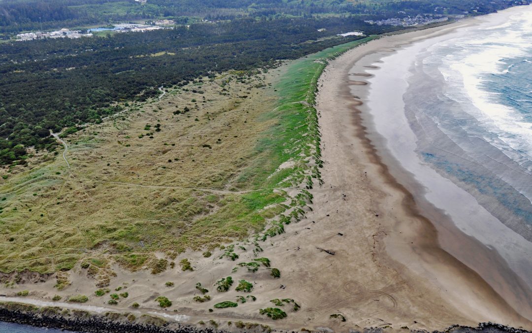 South Beach, Yaquina Bay South Jetty