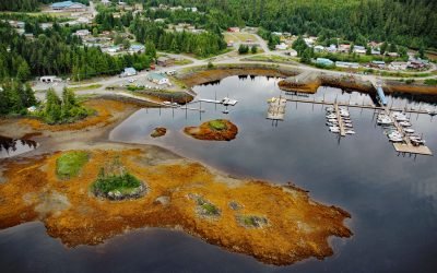 Thorne Bay, Prince of Wales Island