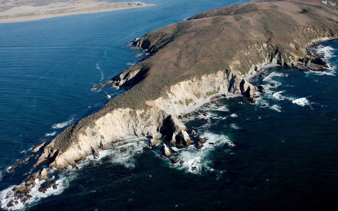 Tomales Point, Point Reyes National Seashore